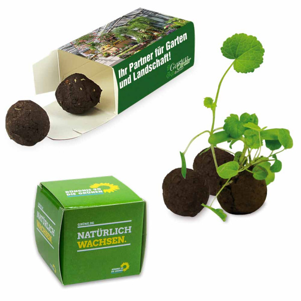 Flower-Balls in der Box mit Samen